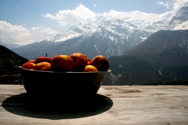 view of annapurnas in gunsang.JPG